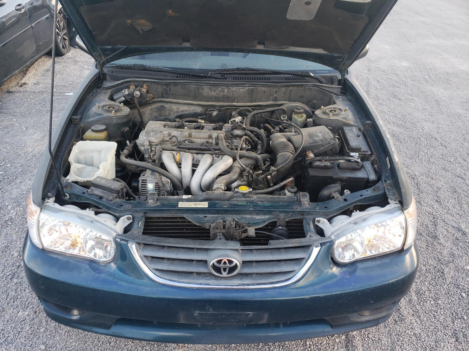 Photo 7 from auction – 2002 TOYOTA COROLLA CE with VIN 1NXBR12E02Z595694