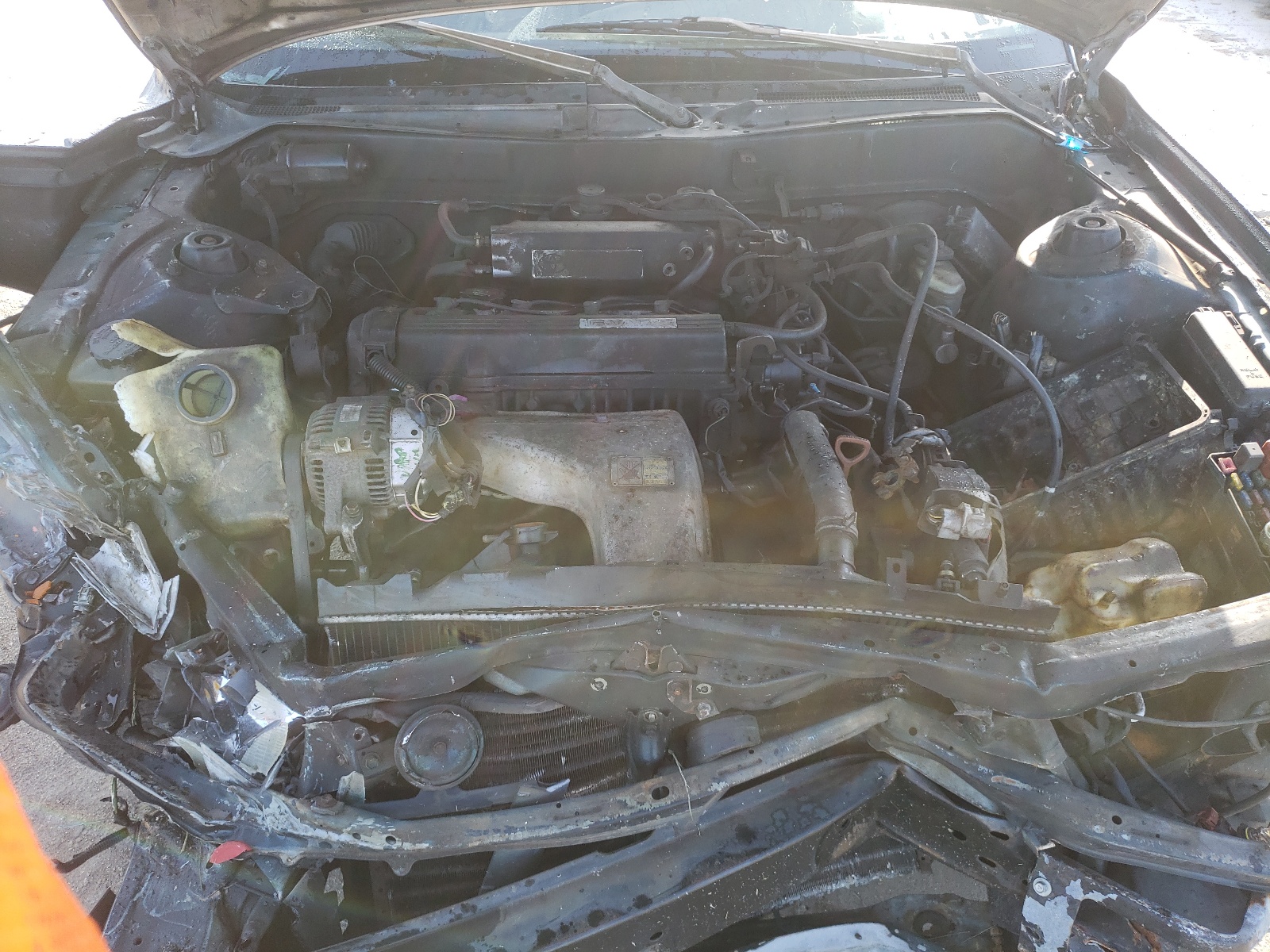 Photo 7 from auction – 1993 TOYOTA CAMRY/LE/X with VIN 4T1SK12E4PU302035