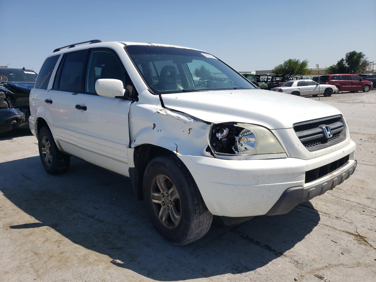 HONDA PILOT EXL 2005 with VIN 5FNYF18555B031986 - Photo from auction