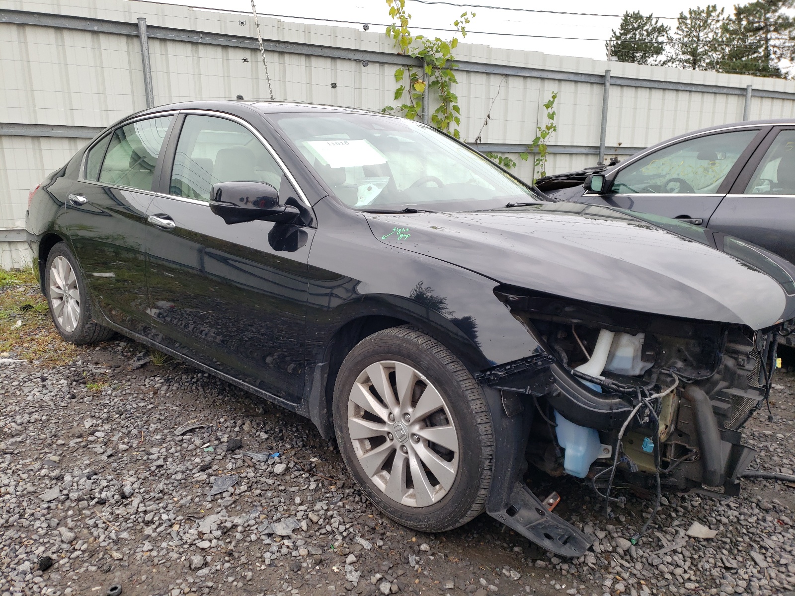 HONDA ACCORD EXL 2014 with VIN 1HGCR2F81EA194293 - Photo from auction