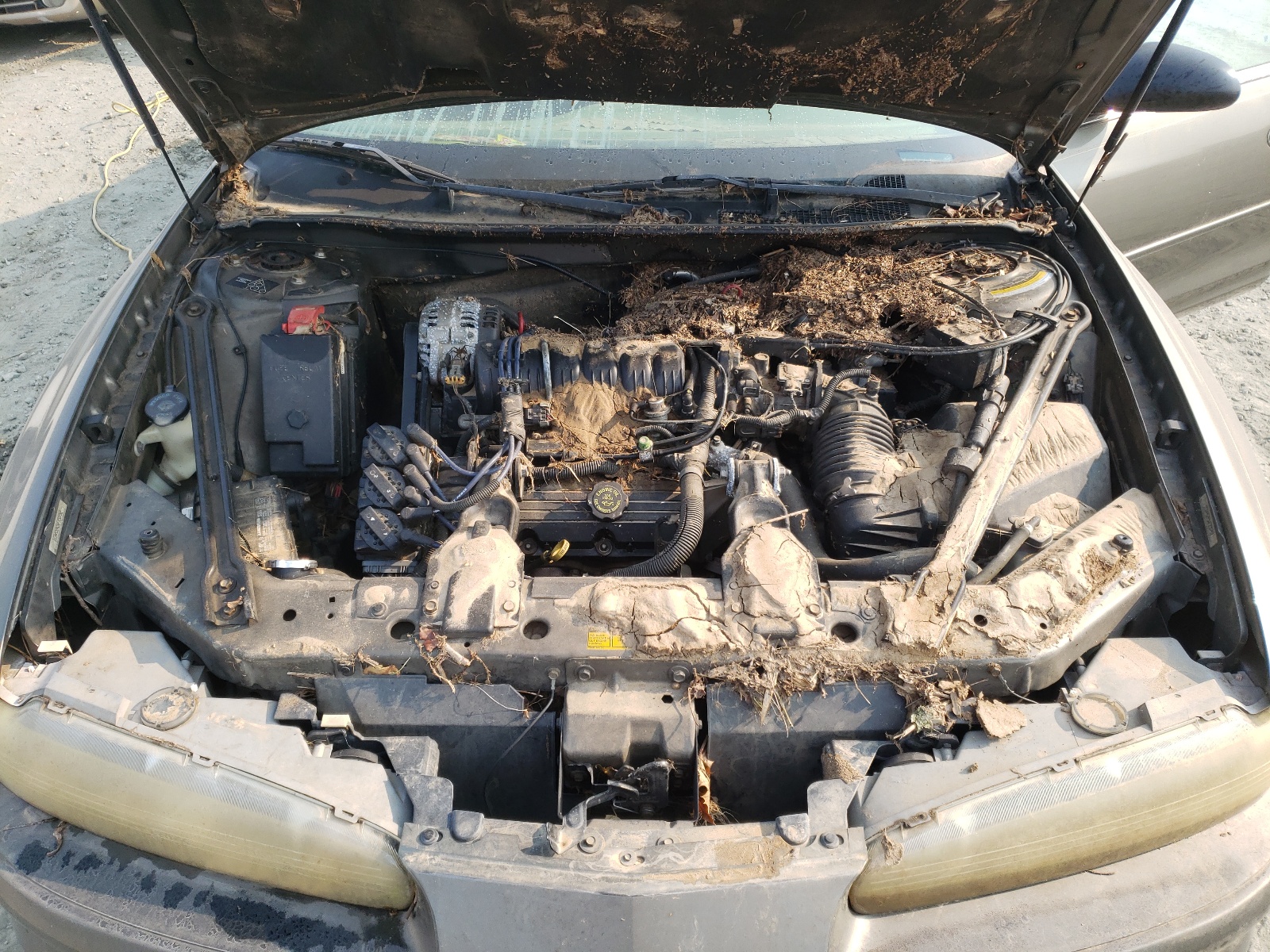 Photo 7 from auction – 1998 OLDSMOBILE INTRIGUE with VIN 1G3WH52K5WF350762