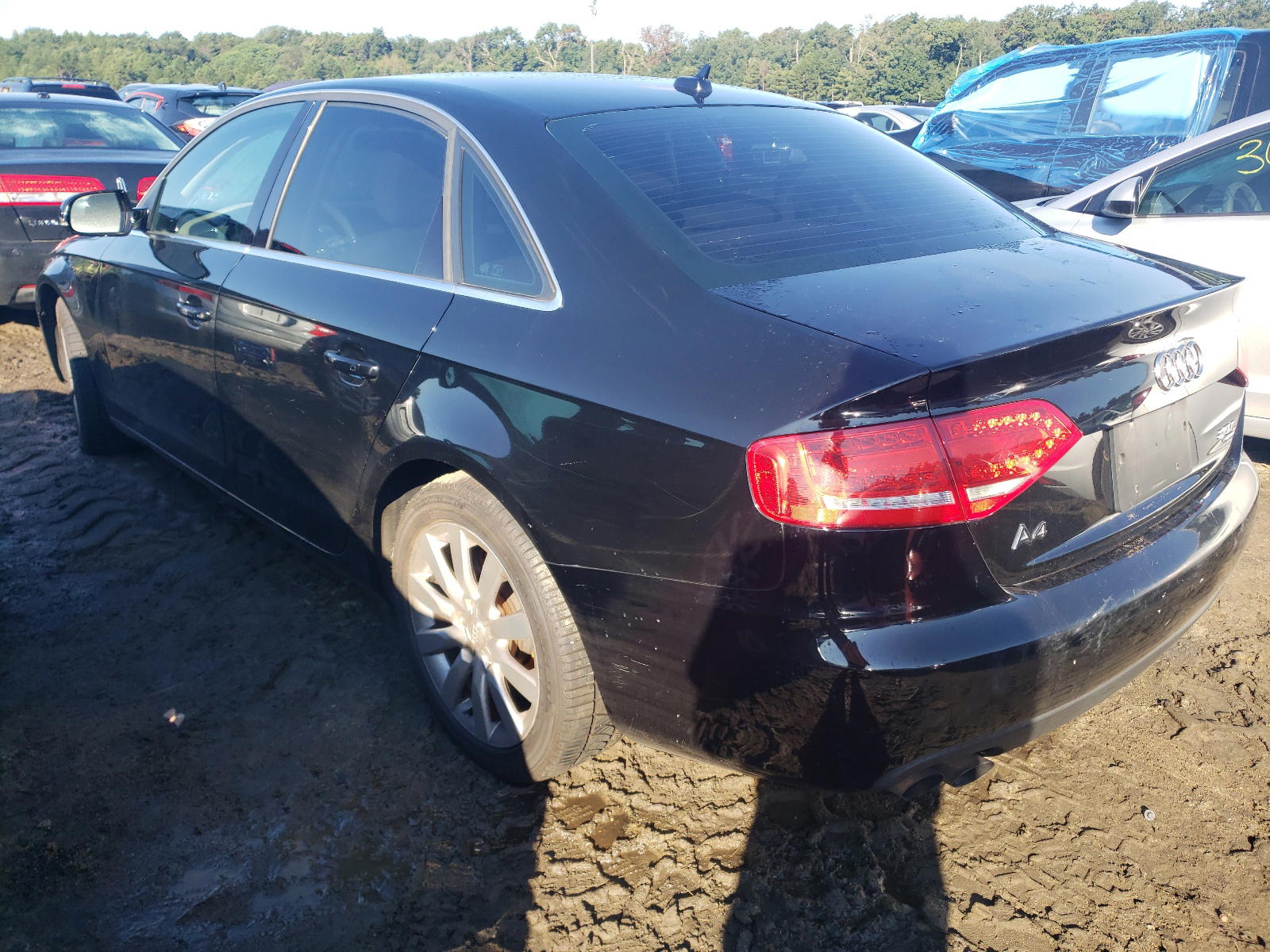 Photo 3 from auction – 2010 AUDI A4 PREMIUM with VIN WAUFFAFL1AN005001