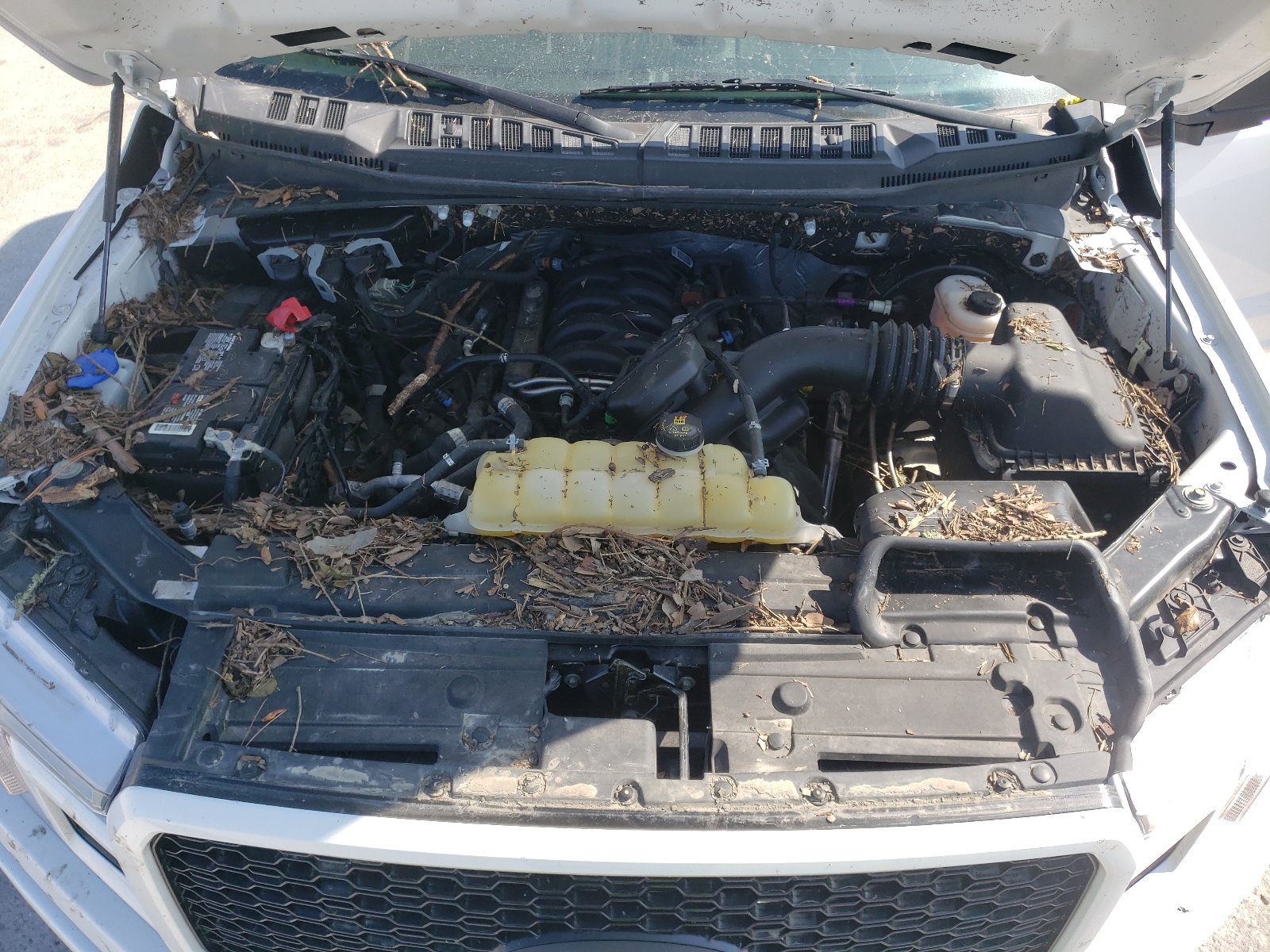 Photo 7 from auction – 2019 FORD F150 SUPER with VIN 1FTEW1C50KKC64764