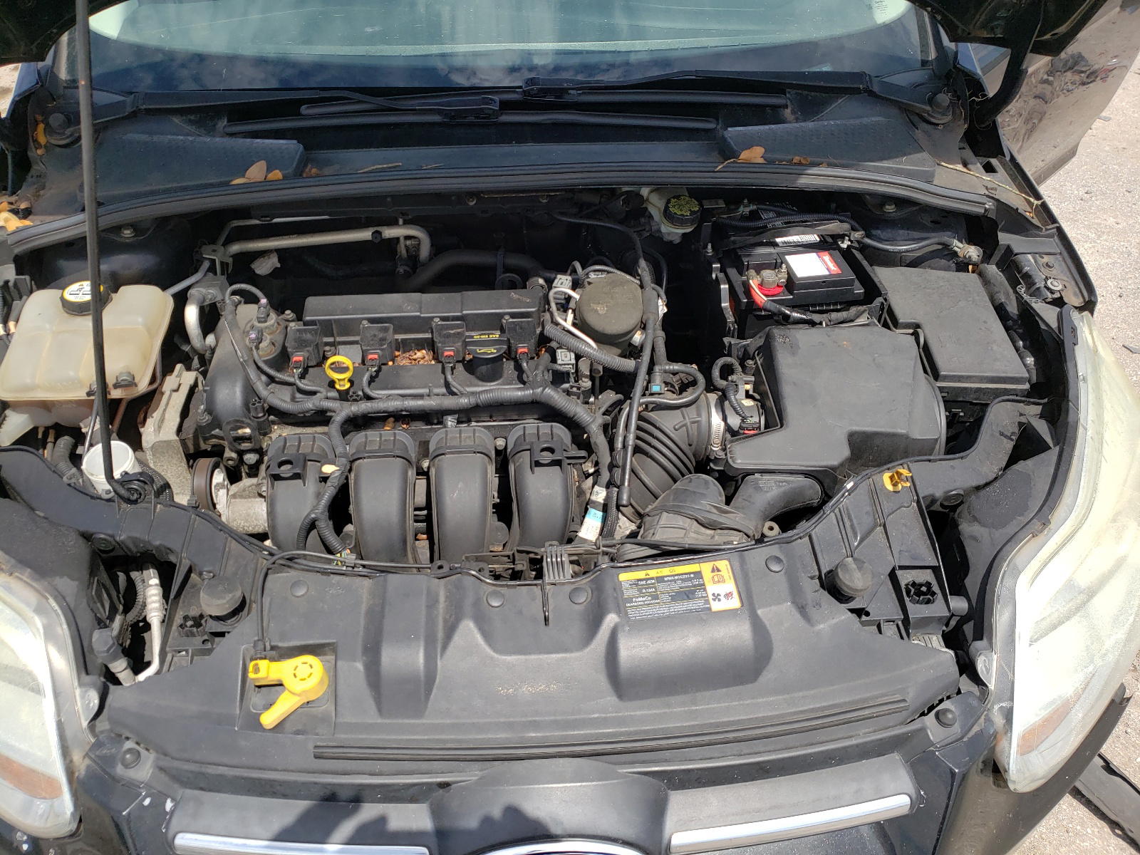 Photo 7 from auction – 2013 FORD FOCUS SE with VIN 1FADP3K26DL336128
