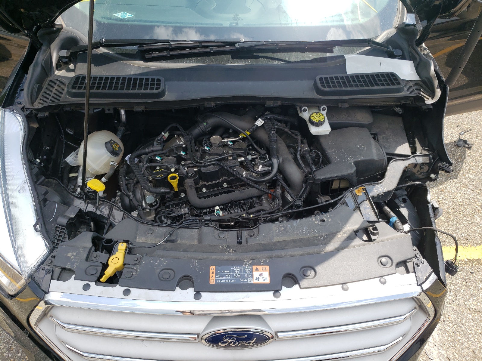 Photo 7 from auction – 2019 FORD ESCAPE SE with VIN 1FMCU0GD8KUA29778