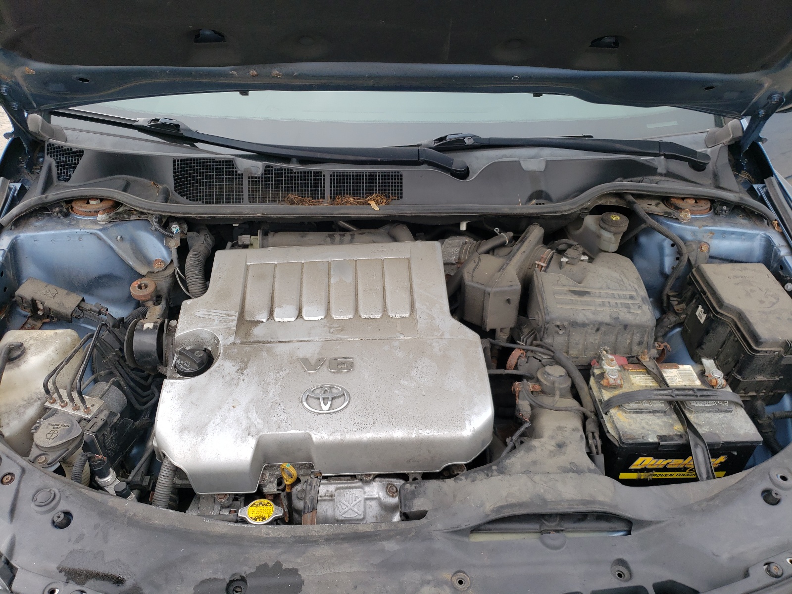 Photo 7 from auction – 2010 TOYOTA VENZA with VIN 4T3BK3BB7AU029978