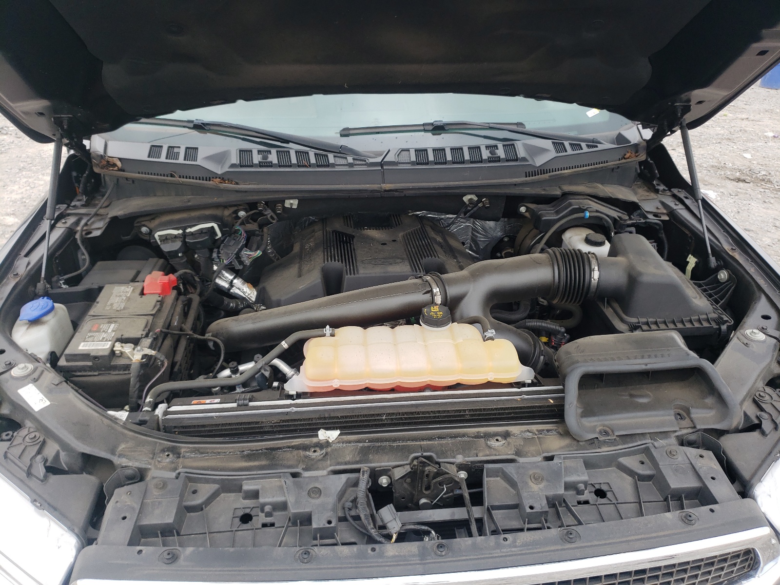 Photo 7 from auction – 2019 FORD F150 SUPER with VIN 1FTEW1E41KFA50444