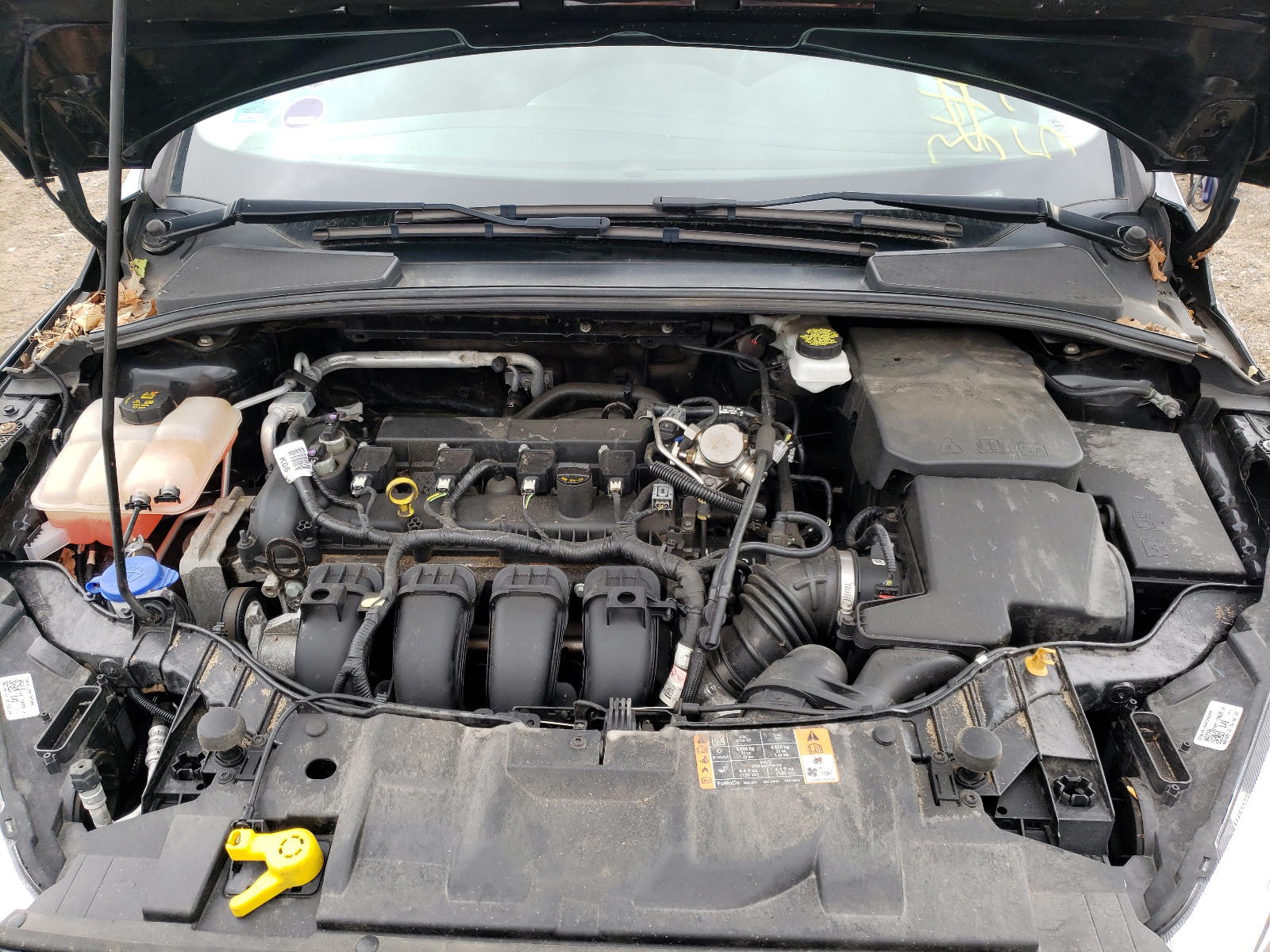 Photo 7 from auction – 2017 FORD FOCUS SE with VIN 1FADP3K29HL340969
