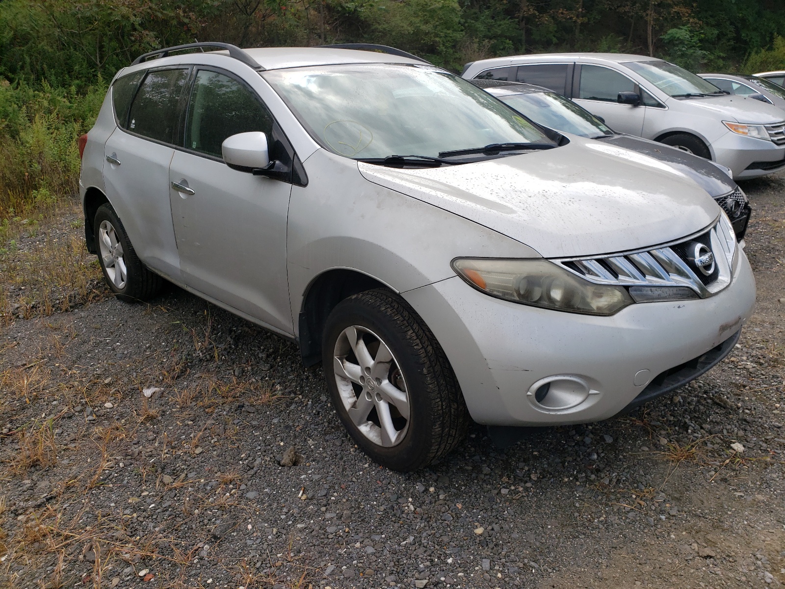 NISSAN MURANO S 2009 with VIN JN8AZ18W39W100259 - Photo from auction