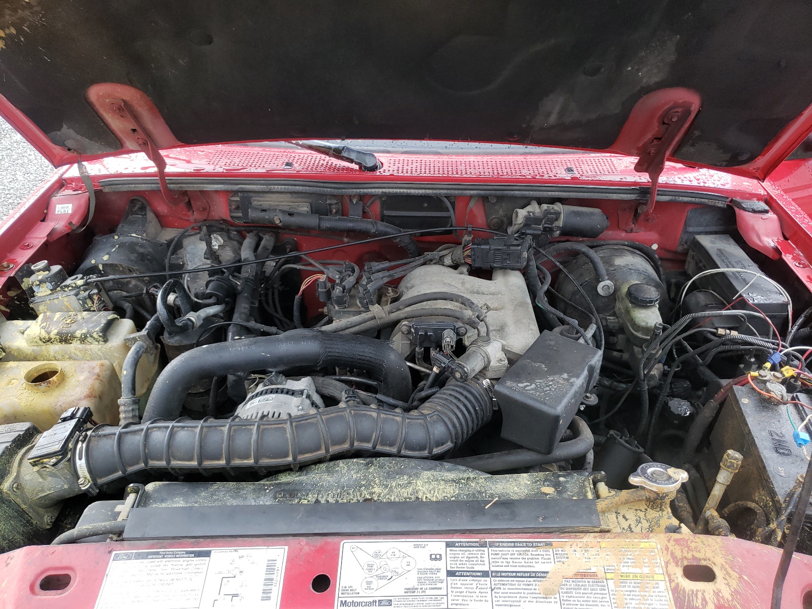 Photo 7 from auction – 1998 FORD RANGER SUP with VIN 1FTZR15U7WTA51081