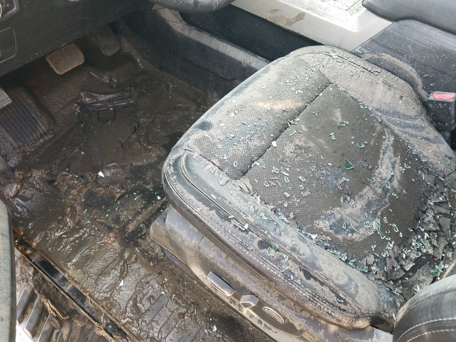 Zdjęcie 9 z aukcji – 2017 FORD F150 SUPER z VIN 1FTEW1EF1HFB17540