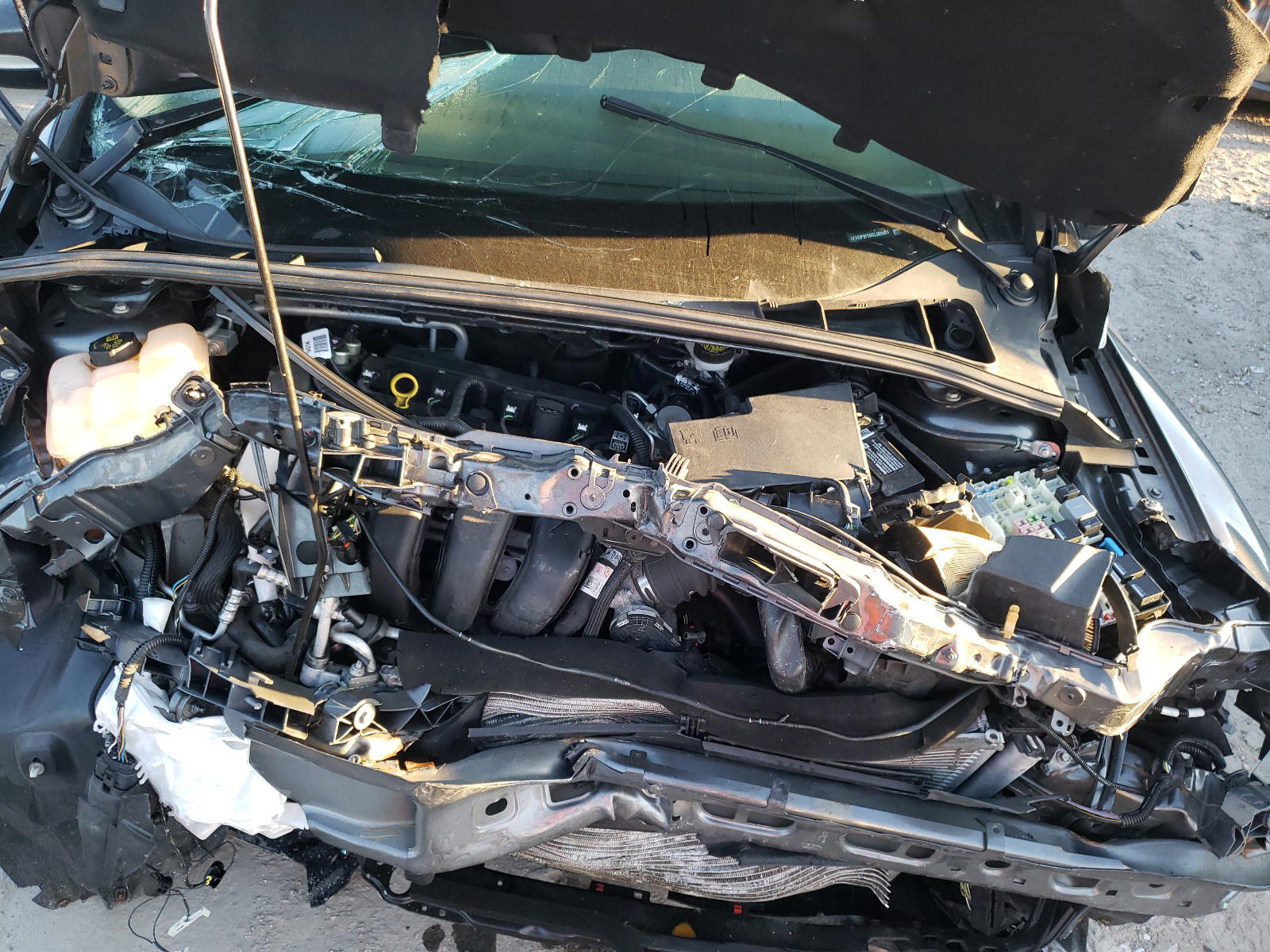 Photo 7 from auction – 2016 FORD FOCUS SE with VIN 1FADP3F28GL389461