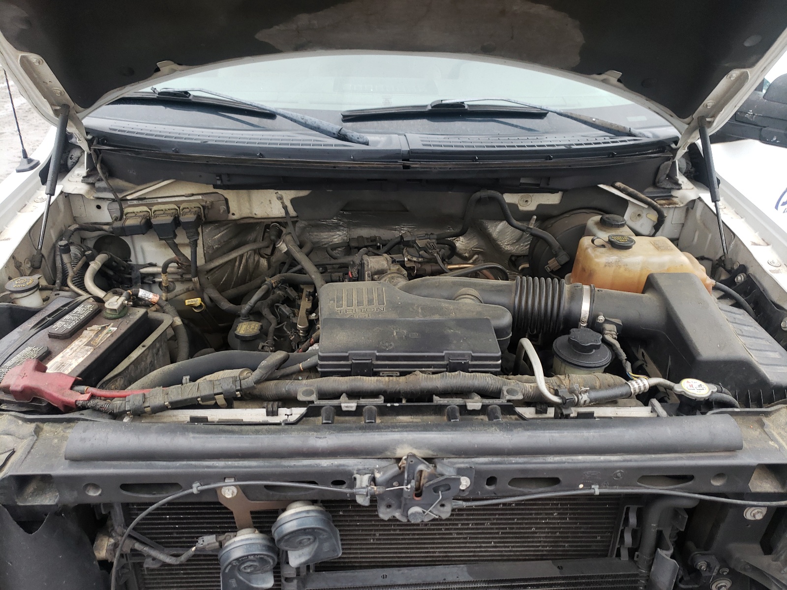 Photo 7 from auction – 2010 FORD F150 SUPER with VIN 1FTEX1CW8AFC63388