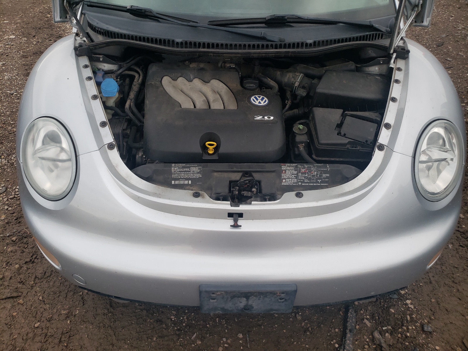 Photo 7 from auction – 2003 VOLKSWAGEN NEW BEETLE with VIN 3VWCK21C03M412316