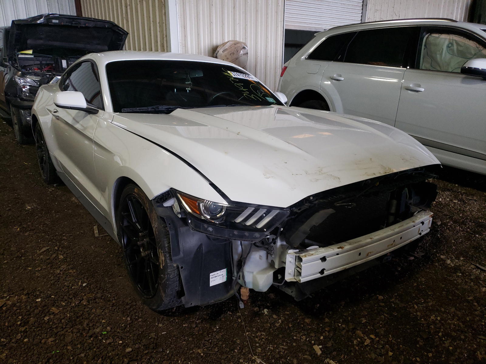 FORD MUSTANG 2015 with VIN 1FA6P8AM9F5349746 - Photo from auction