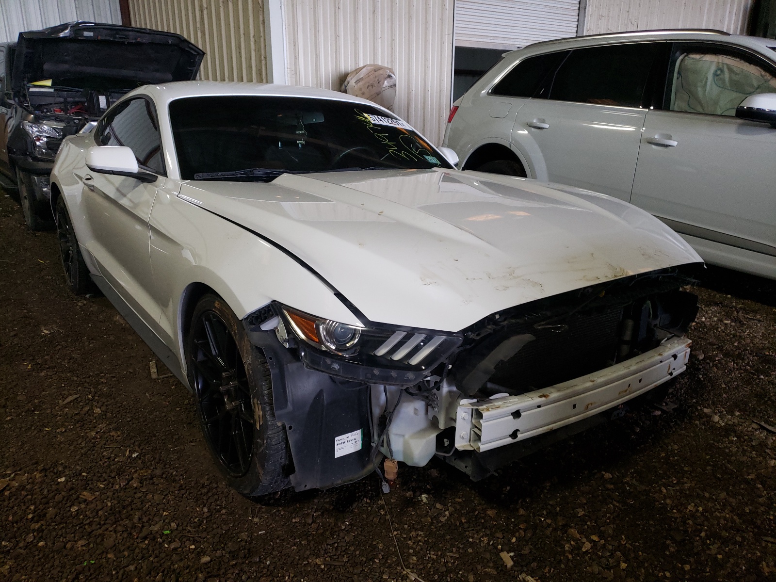 FORD MUSTANG 2015 z numerem VIN 1FA6P8AM9F5349746 - Zdjęcie z aukcji