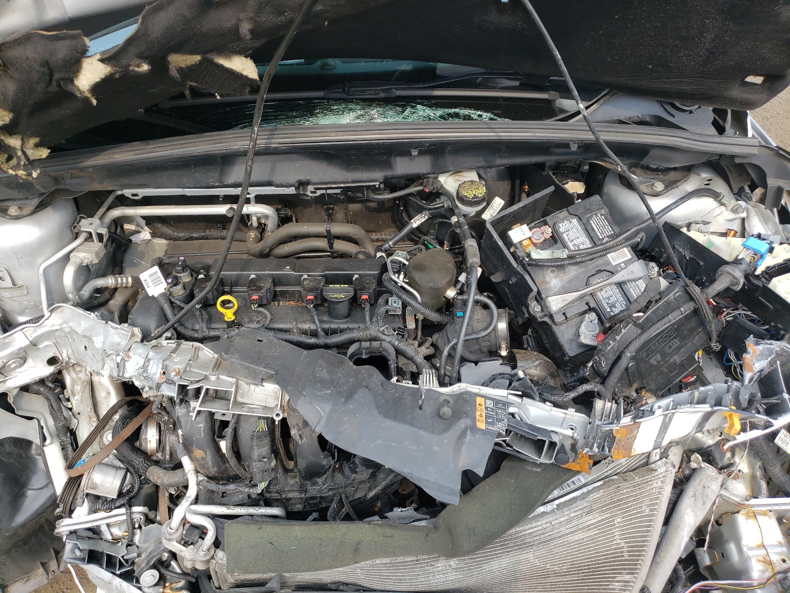 Фото 7 с аукциона – 2014 FORD FOCUS SE с VIN 1FADP3F23EL371415