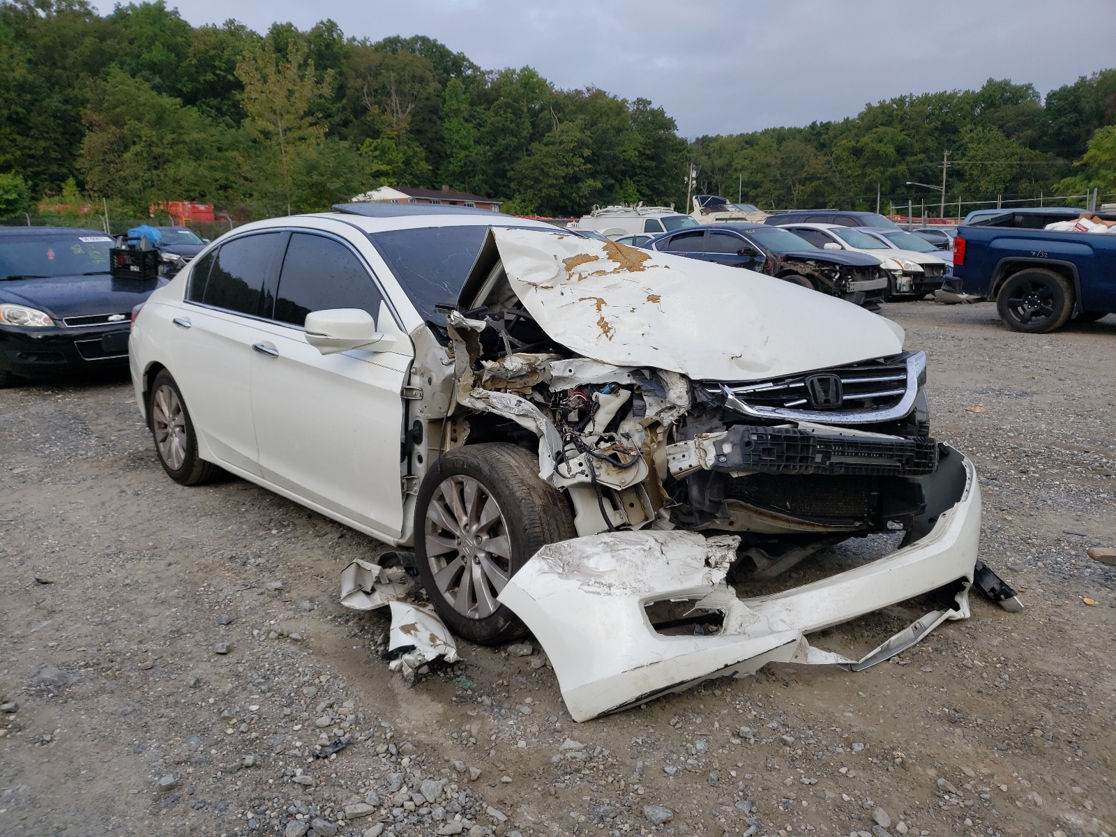 Photo 1 from auction – 2013 HONDA ACCORD EXL with VIN 1HGCR3F83DA005227
