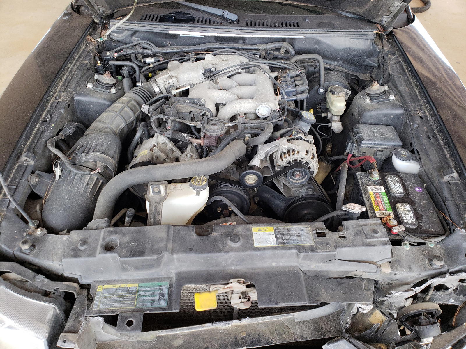 Photo 7 from auction – 2004 FORD MUSTANG with VIN 1FAFP40604F176914
