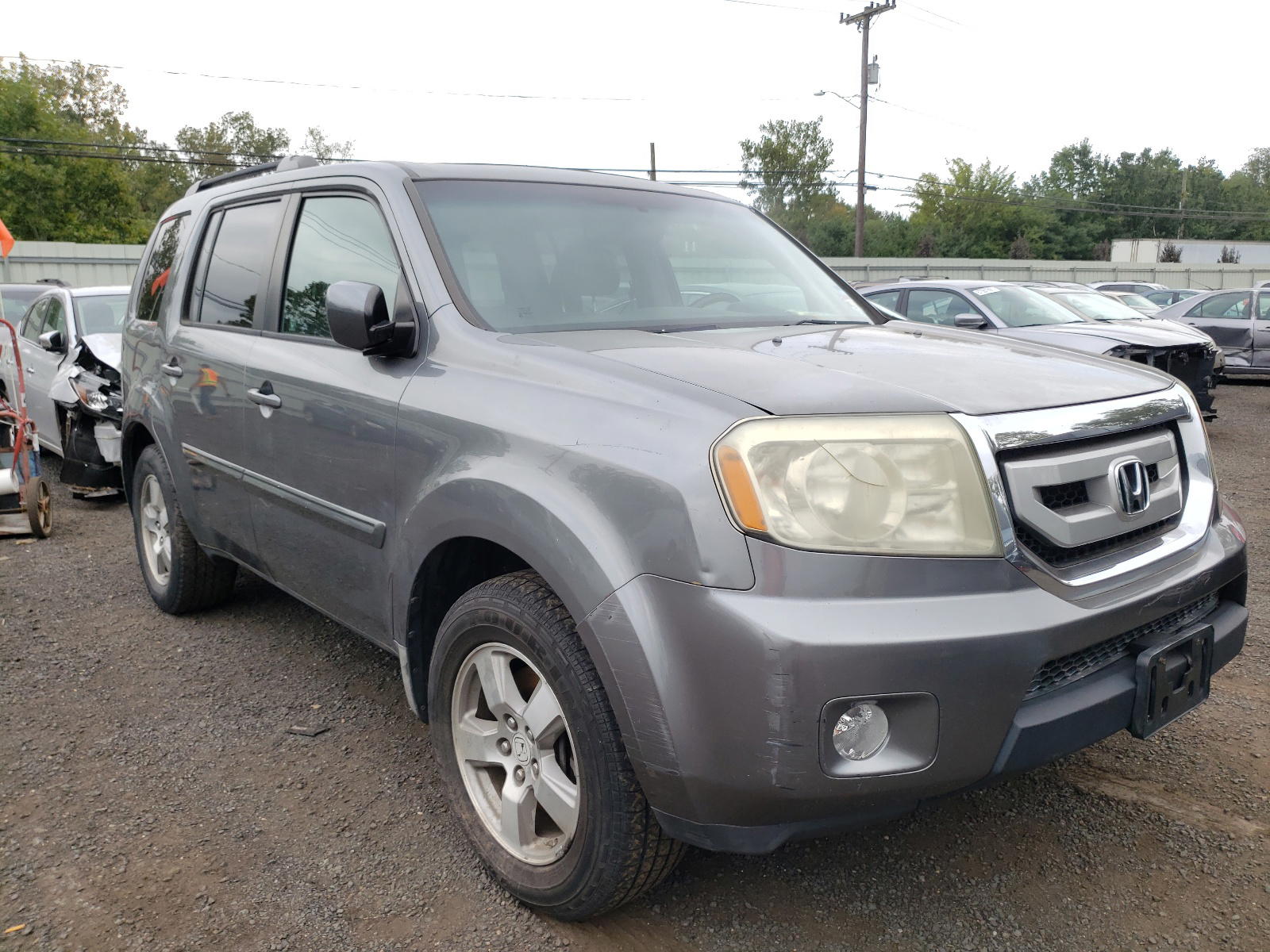 HONDA PILOT EXL 2009 with VIN 5FNYF48699B023874 - Photo from auction