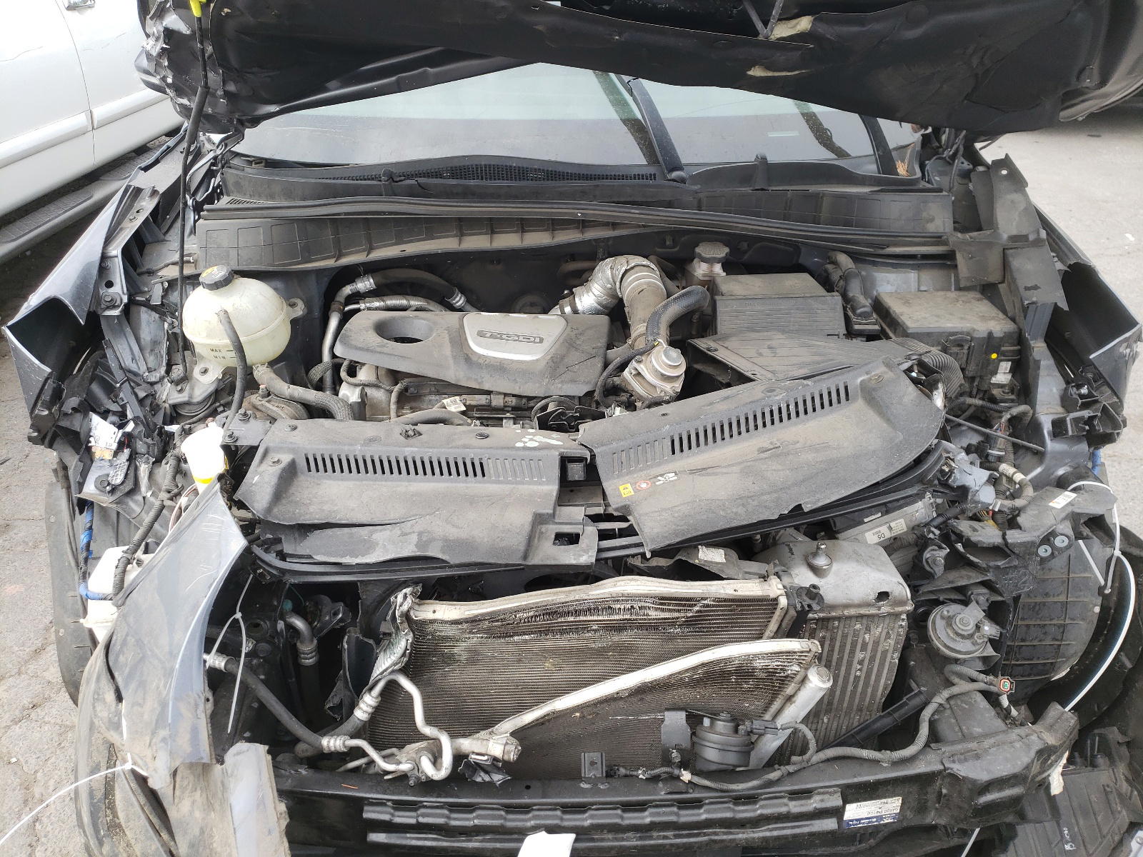 Photo 7 from auction – 2016 HYUNDAI TUCSON LIM with VIN KM8J3CA21GU203524