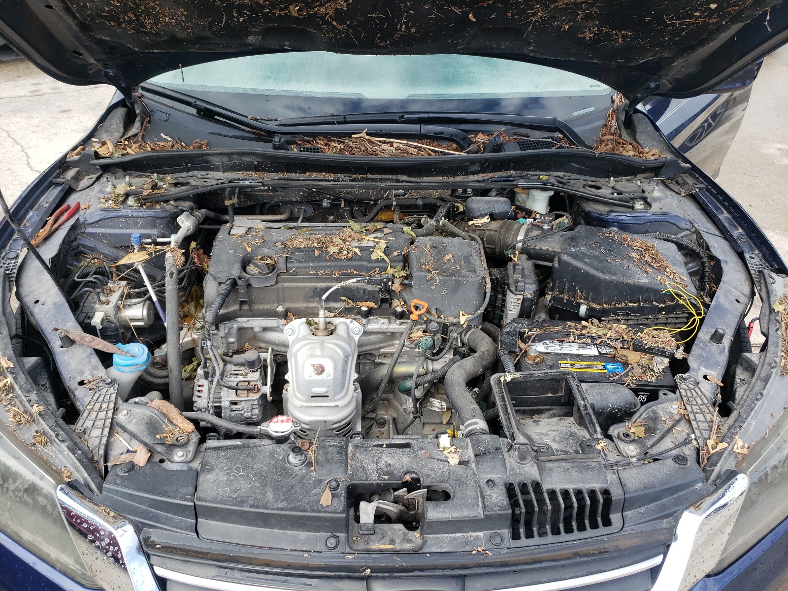 Photo 7 from auction – 2015 HONDA ACCORD SPO with VIN 1HGCR2F59FA124905