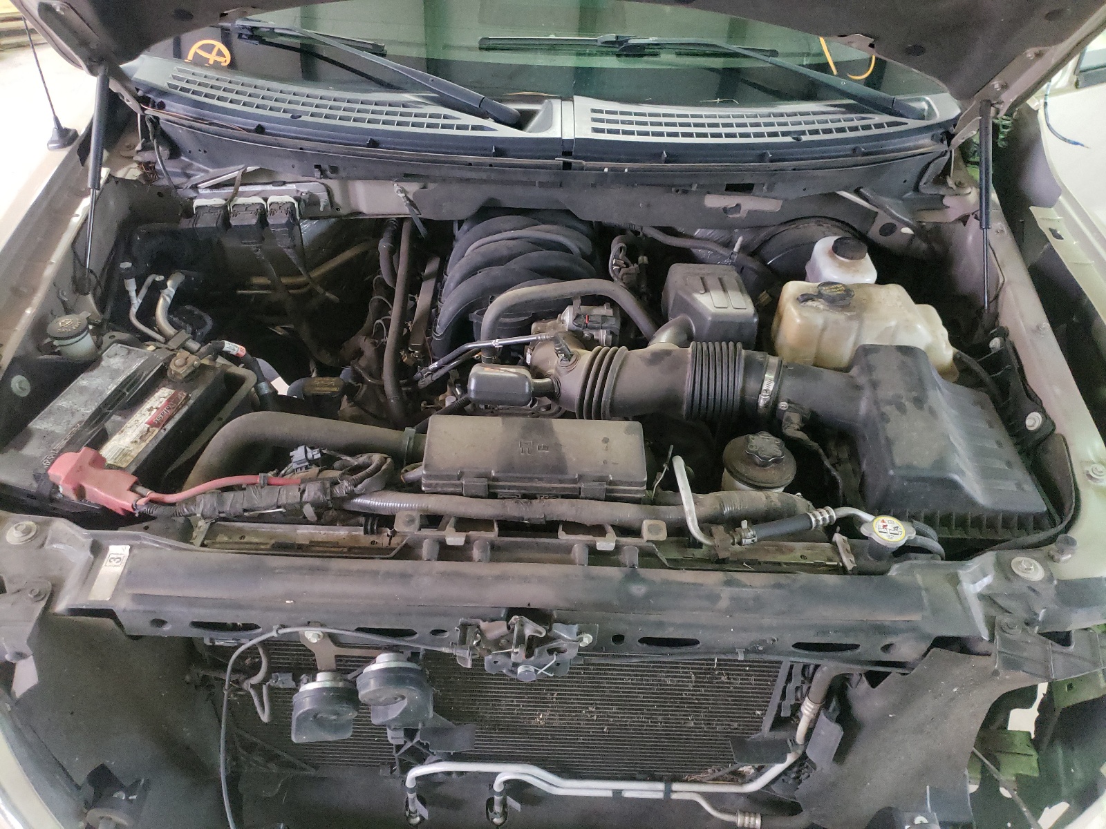 صورة رقم 7 من المزاد - 2010 FORD F150 SUPER مع VIN 1FTEW1C83AKE42613
