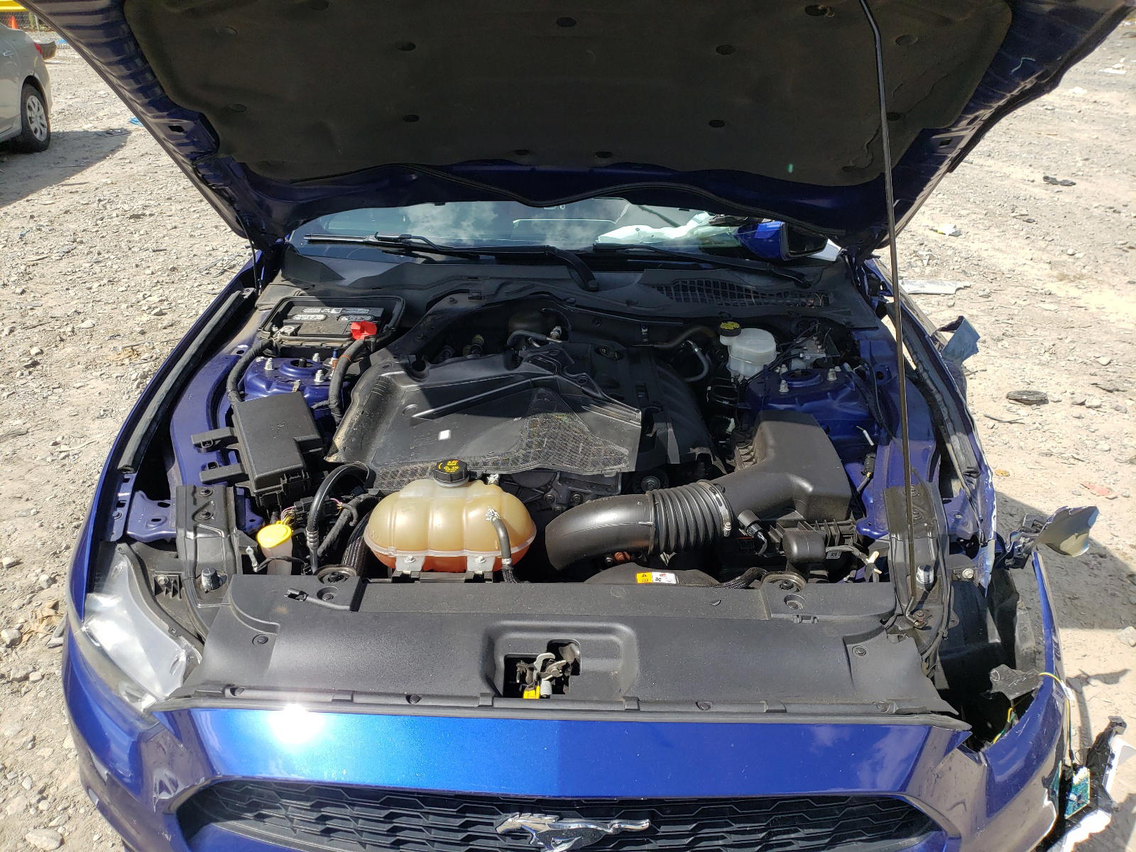 Photo 7 from auction – 2015 FORD MUSTANG with VIN 1FA6P8TH7F5317376
