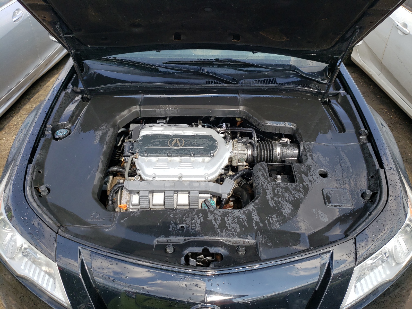 Photo 7 from auction – 2010 ACURA TL with VIN 19UUA8F20AA008490