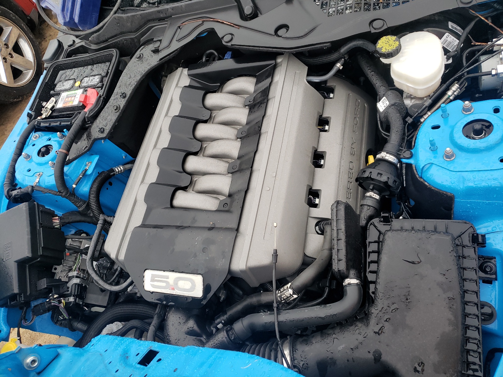 Photo 7 from auction – 2017 FORD MUSTANG GT with VIN 1FA6P8CF1H5353159