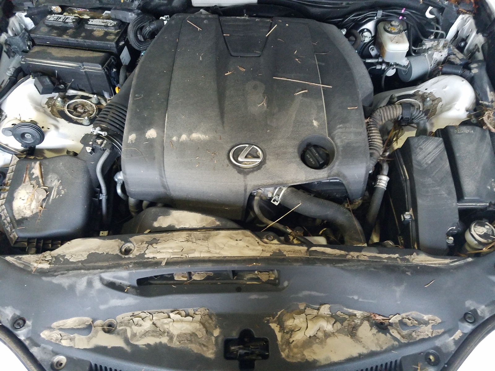 Photo 7 from auction – 2015 LEXUS IS 250 with VIN JTHBF1D28F5072437