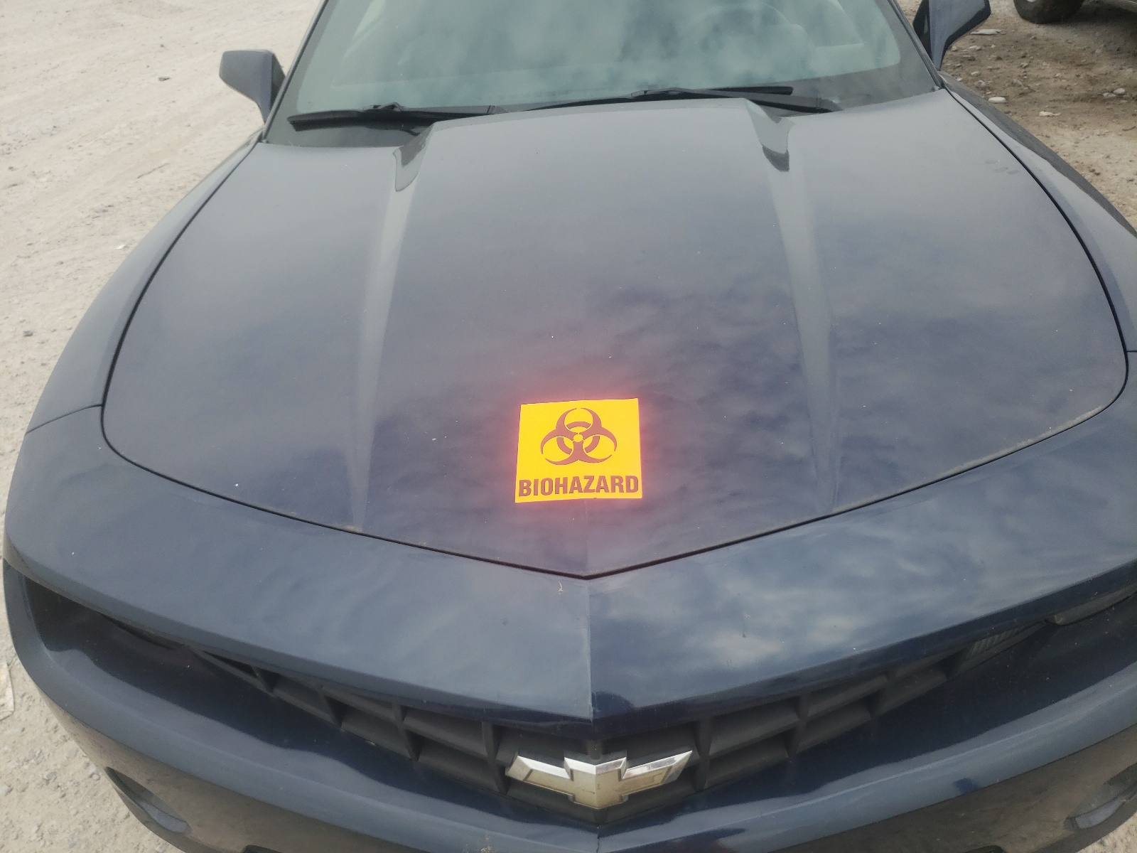 Фото 7 с аукциона – 2011 CHEVROLET CAMARO LS с VIN 2G1FA1ED6B9112893