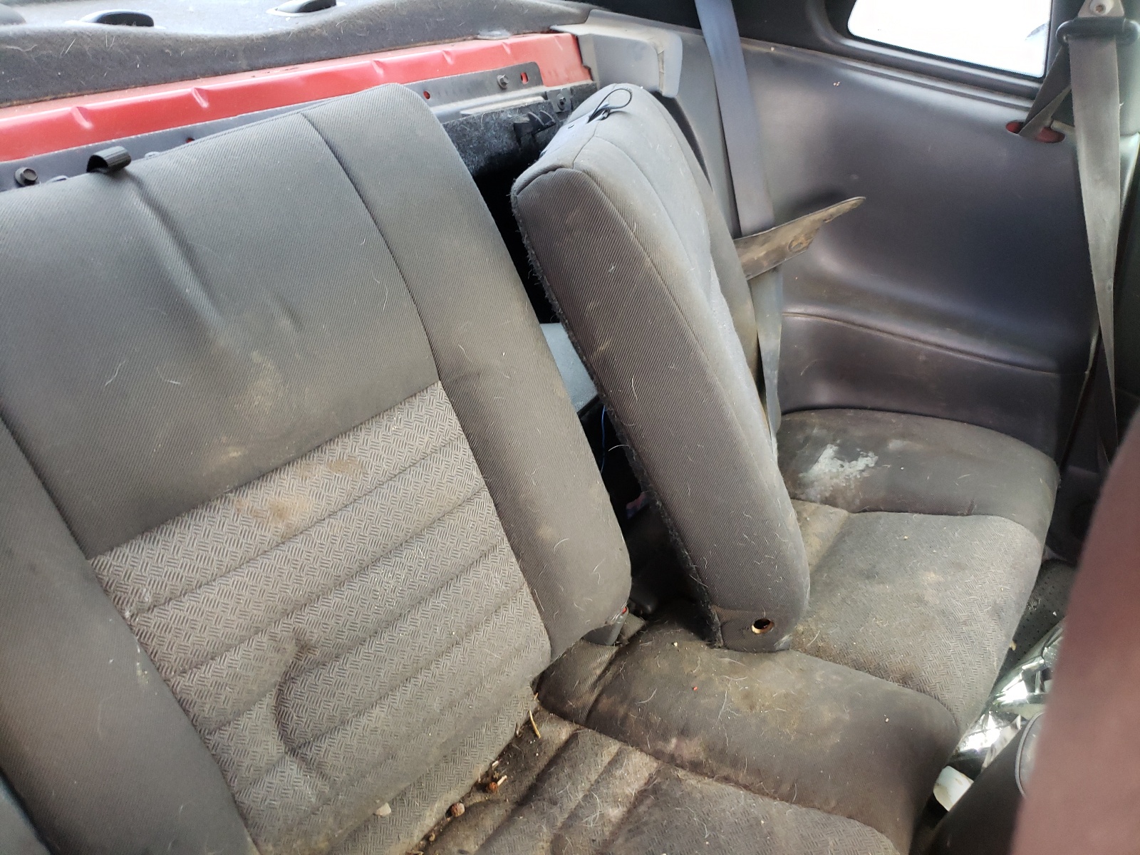 Photo 6 from auction – 2002 FORD MUSTANG GT with VIN 1FAFP42X52F111480