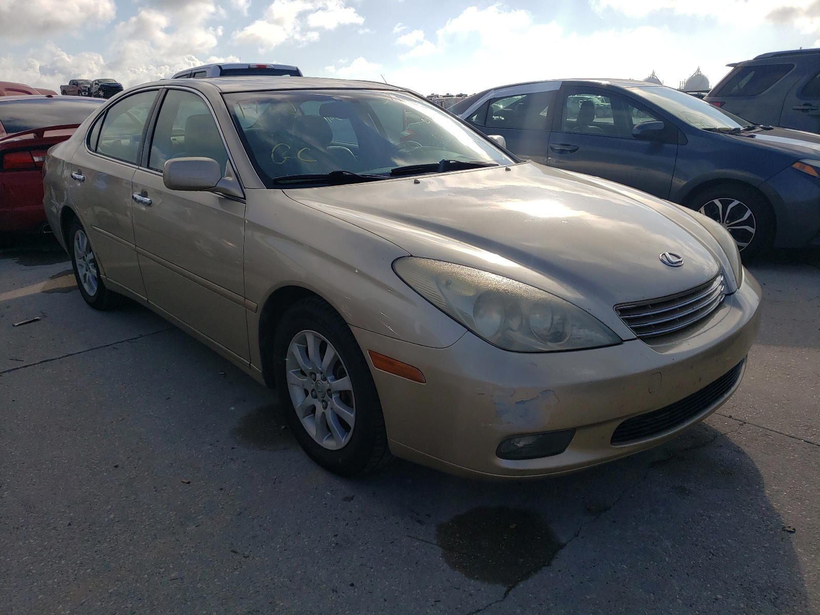 LEXUS ES 330 2004 with VIN JTHBA30G345017709 - Photo from auction