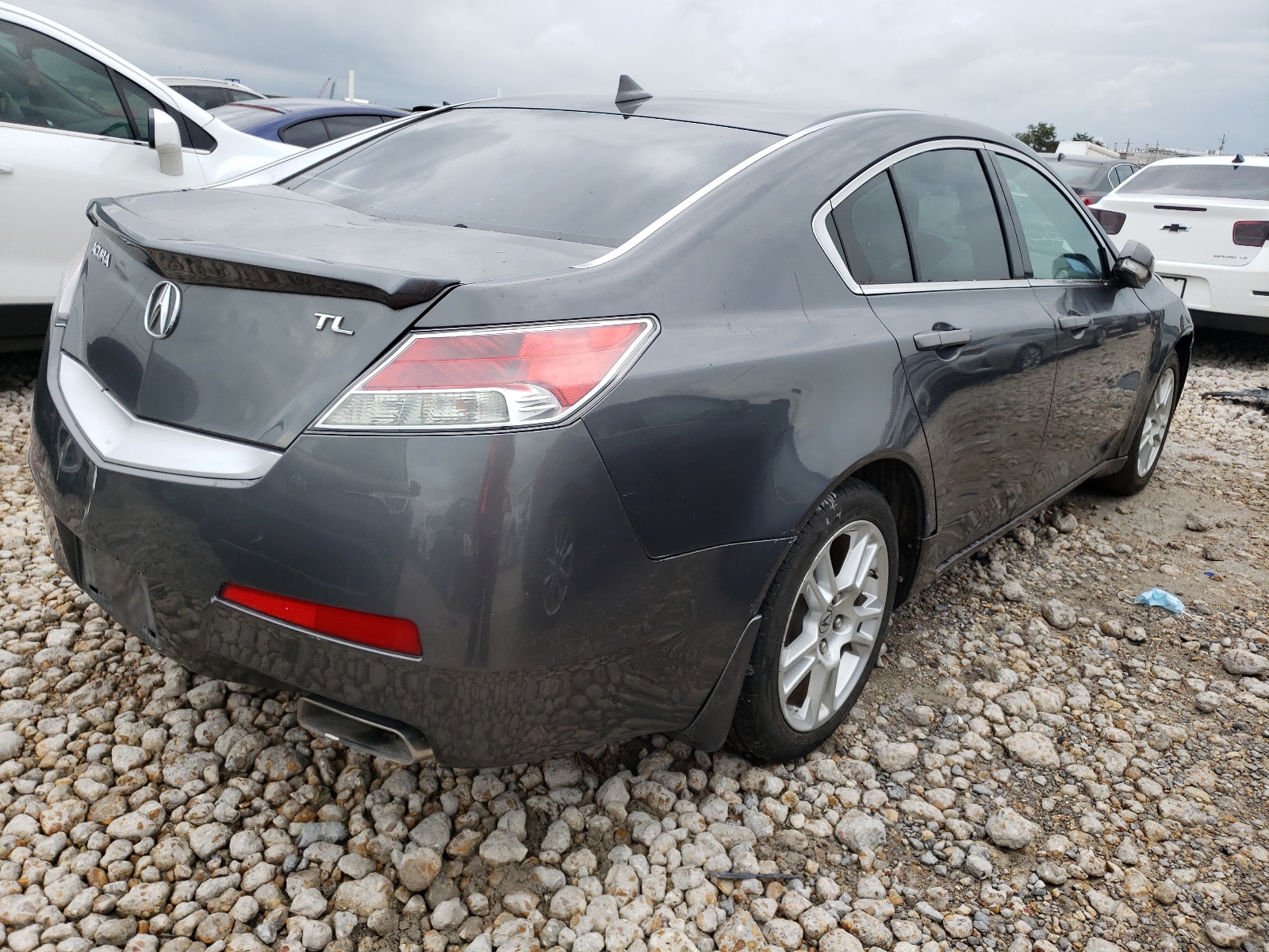 Photo 4 from auction – 2009 ACURA TL with VIN 19UUA86299A025560