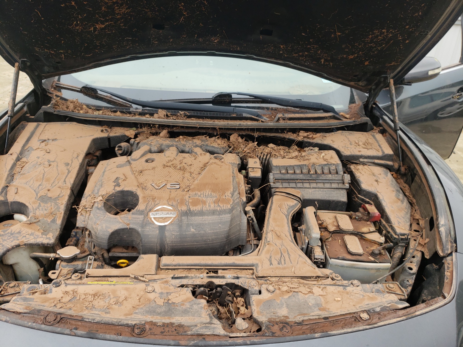 Photo 7 from auction – 2013 NISSAN MAXIMA S with VIN 1N4AA5AP7DC842077
