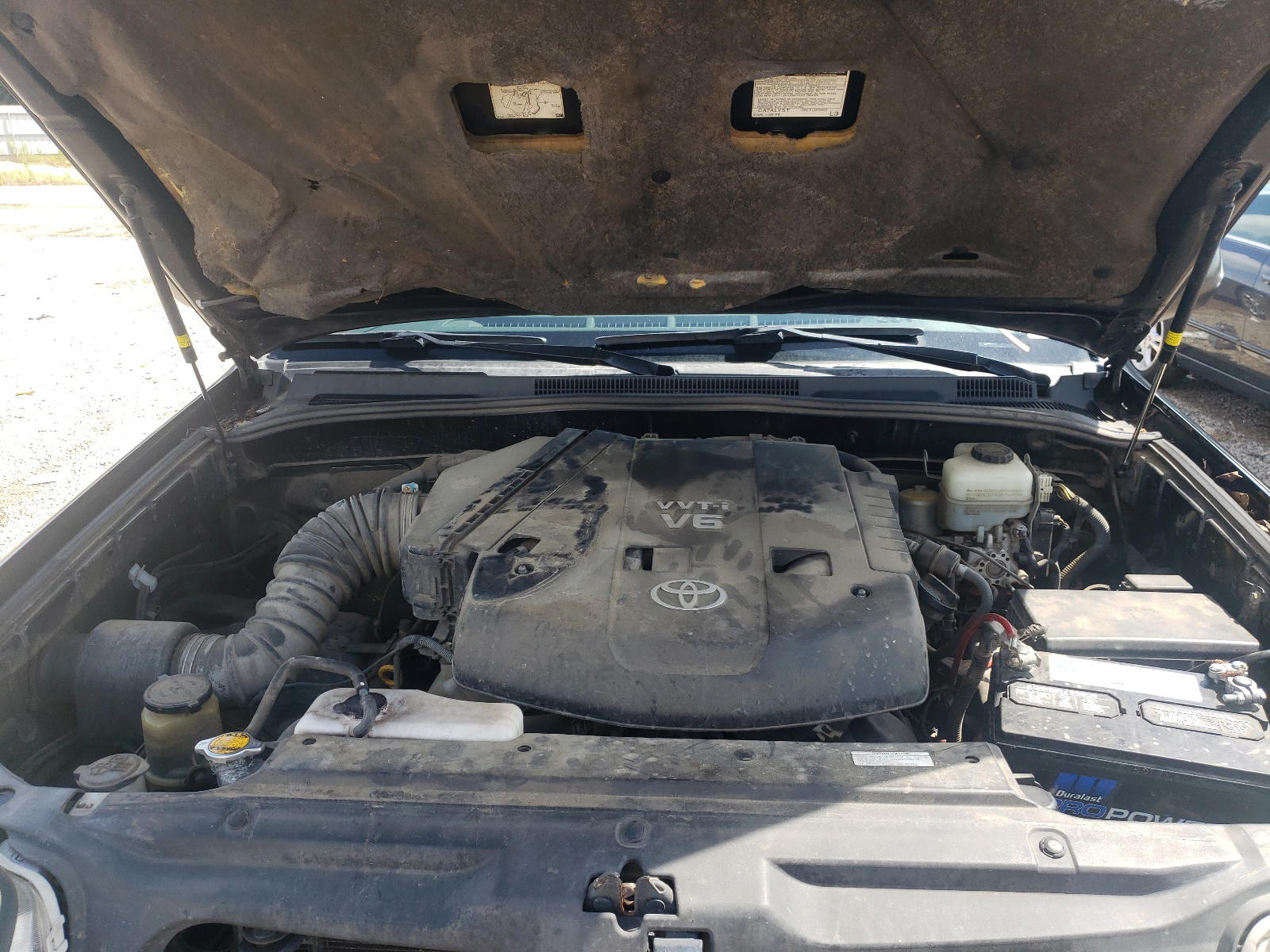 Photo 7 from auction – 2008 TOYOTA 4RUNNER SR with VIN JTEZU14RX8K015451