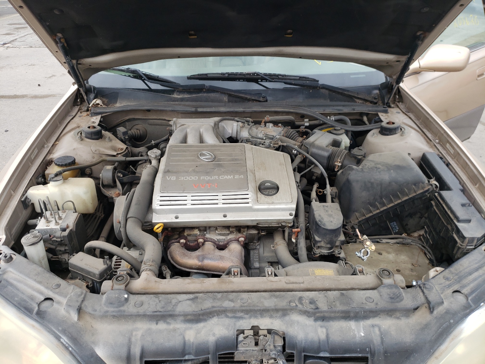 Photo 7 from auction – 1999 LEXUS ES 300 with VIN JT8BF28G9X5052548