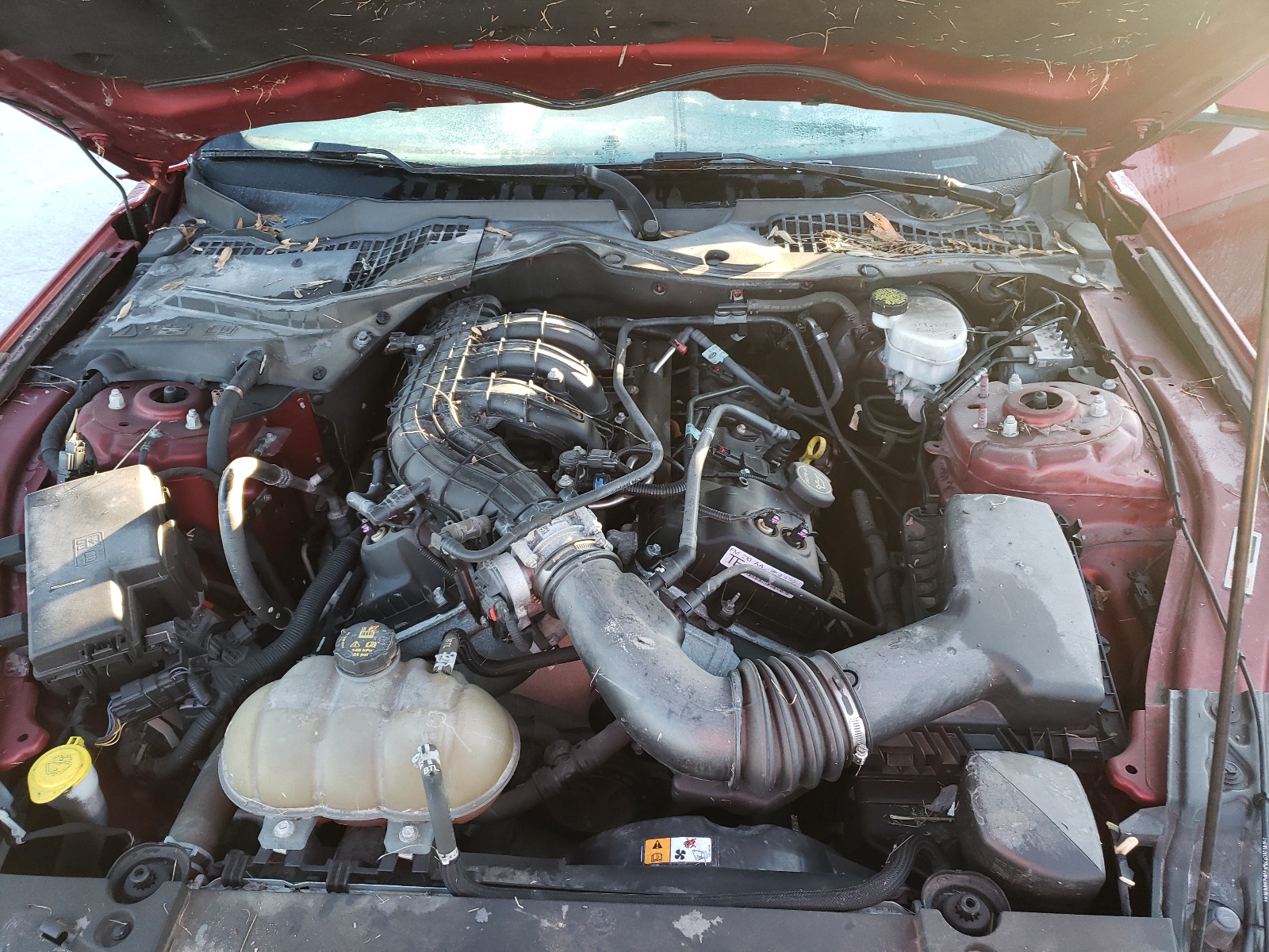 Photo 7 from auction – 2015 FORD MUSTANG with VIN 1FA6P8AM6F5383966