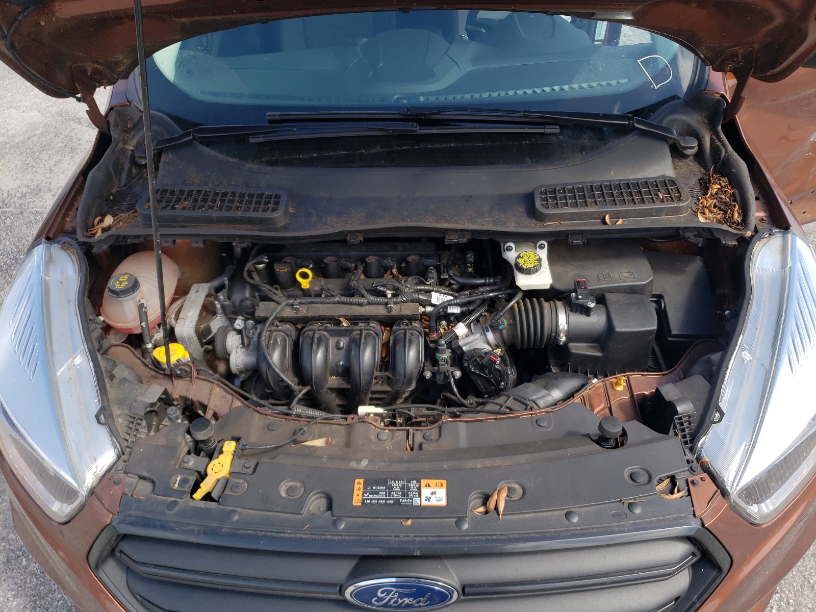 Photo 7 from auction – 2017 FORD ESCAPE S with VIN 1FMCU0F75HUA58160