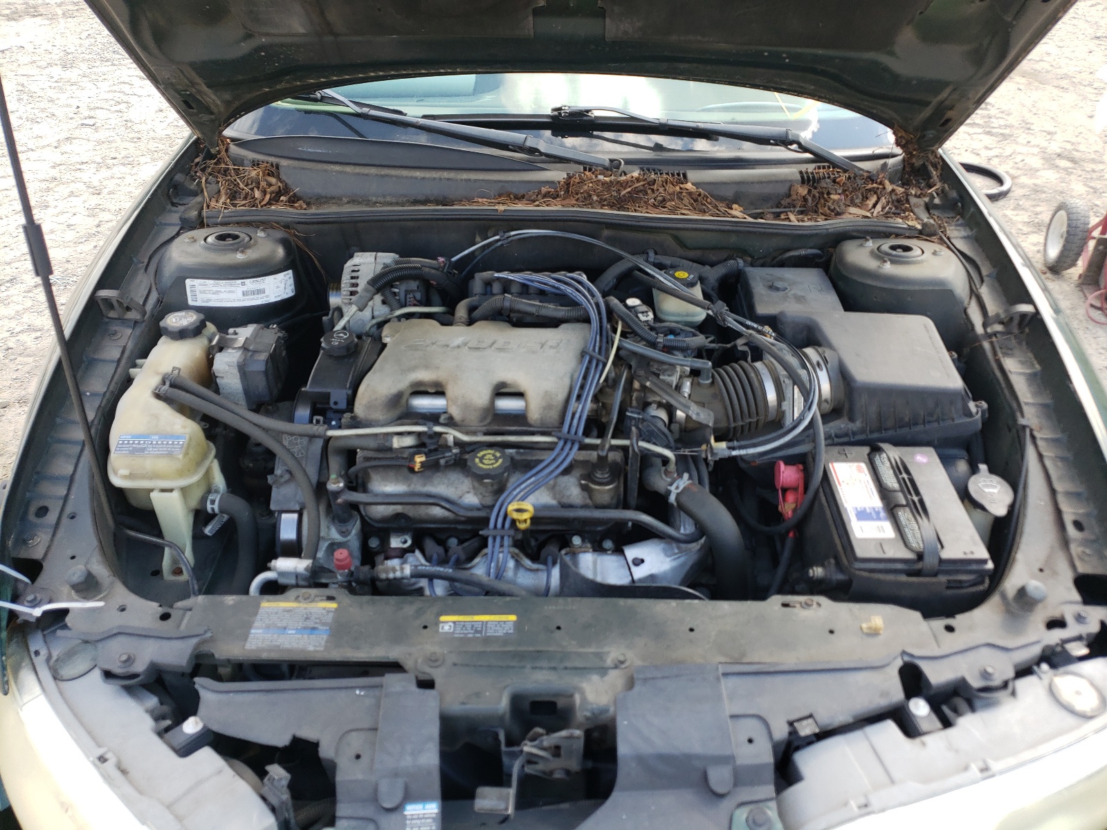 Photo 7 from auction – 2002 OLDSMOBILE ALERO GL with VIN 1G3NL52EX2C231895