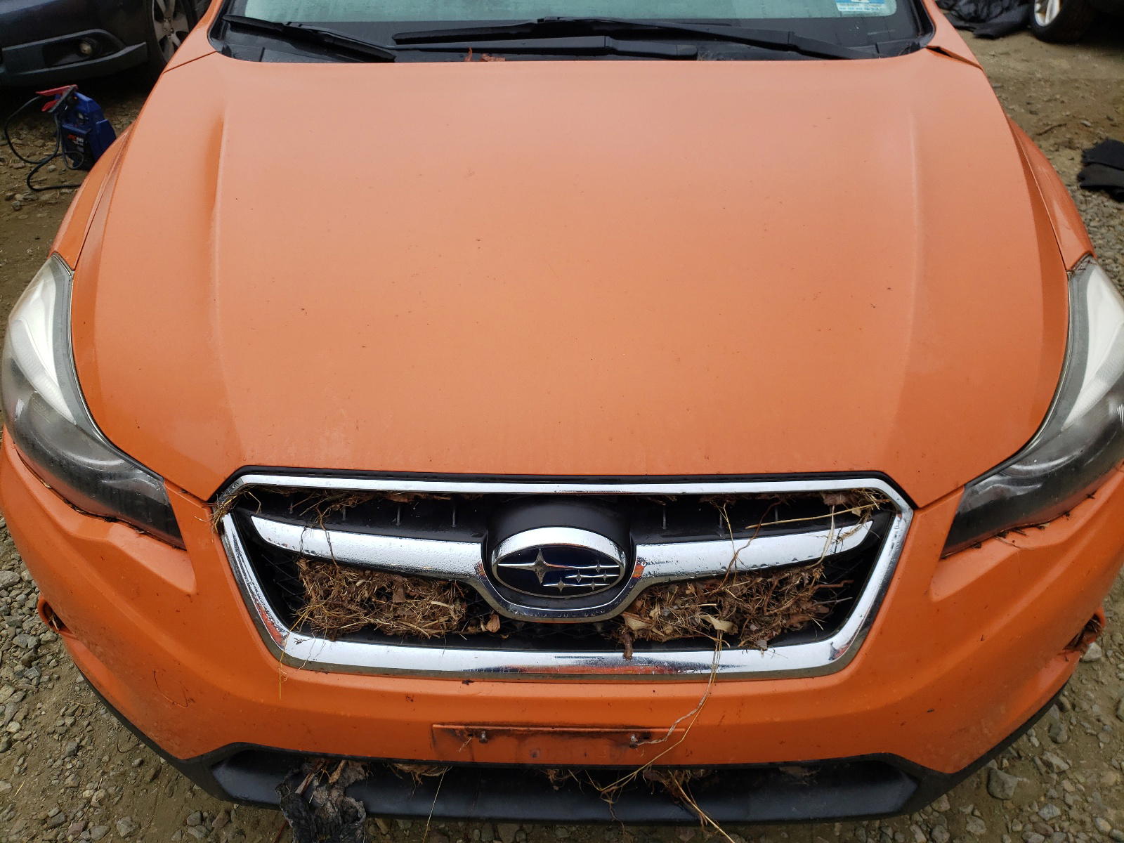 Photo 9 from auction – 2013 SUBARU XV CROSSTR with VIN JF2GPAGC3DH875047
