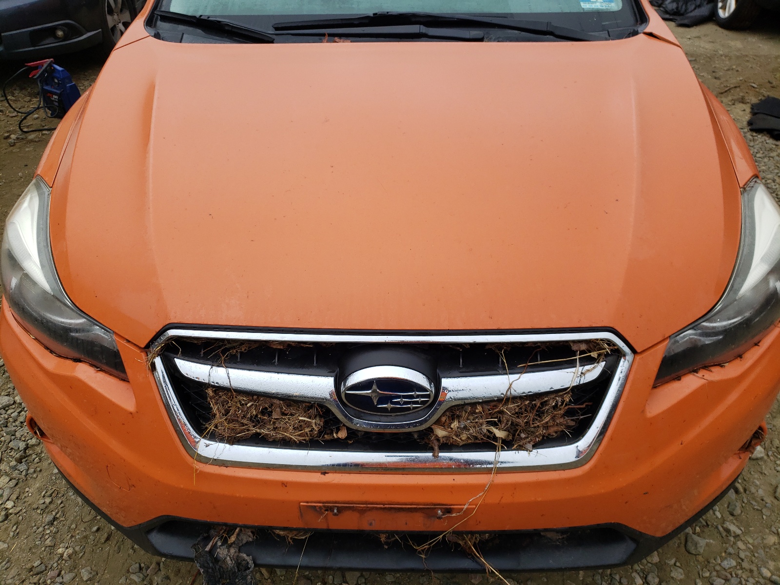 Фото 9 с аукциона – 2013 SUBARU XV CROSSTR с VIN JF2GPAGC3DH875047