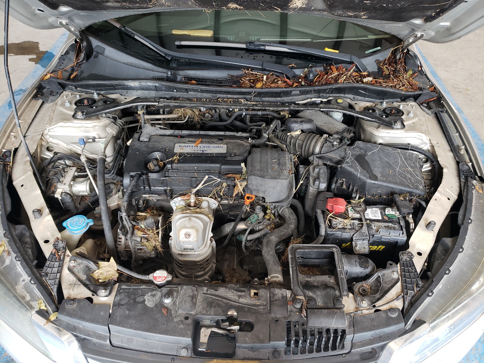 Photo 7 from auction – 2014 HONDA ACCORD SPO with VIN 1HGCR2F55EA209741
