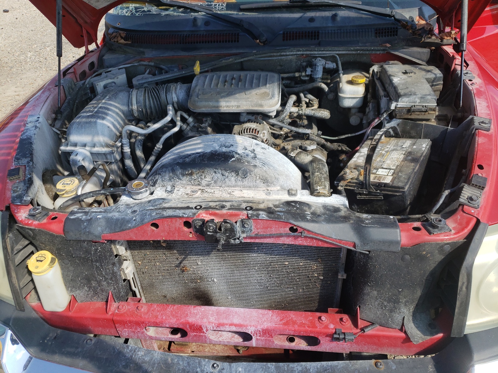 Photo 7 from auction – 2005 DODGE DAKOTA QUA with VIN 1D7HE48K65S288450