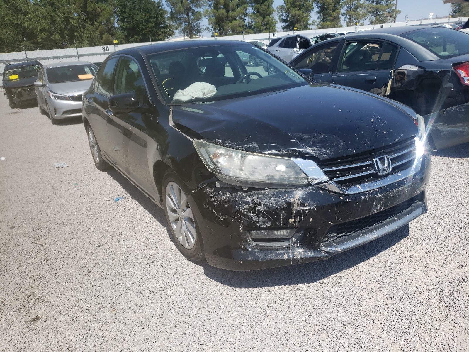 Photo 1 from auction – 2014 HONDA ACCORD EXL with VIN 1HGCR3F8XEA015982