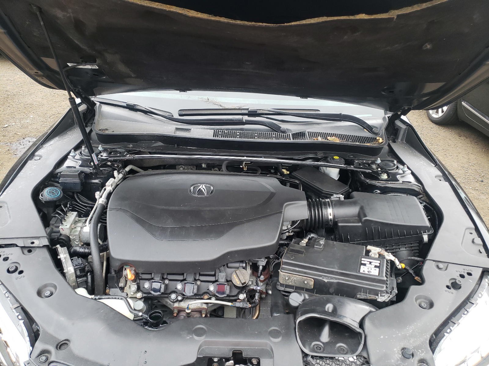 Photo 7 from auction – 2015 ACURA TLX with VIN 19UUB2F30FA026238
