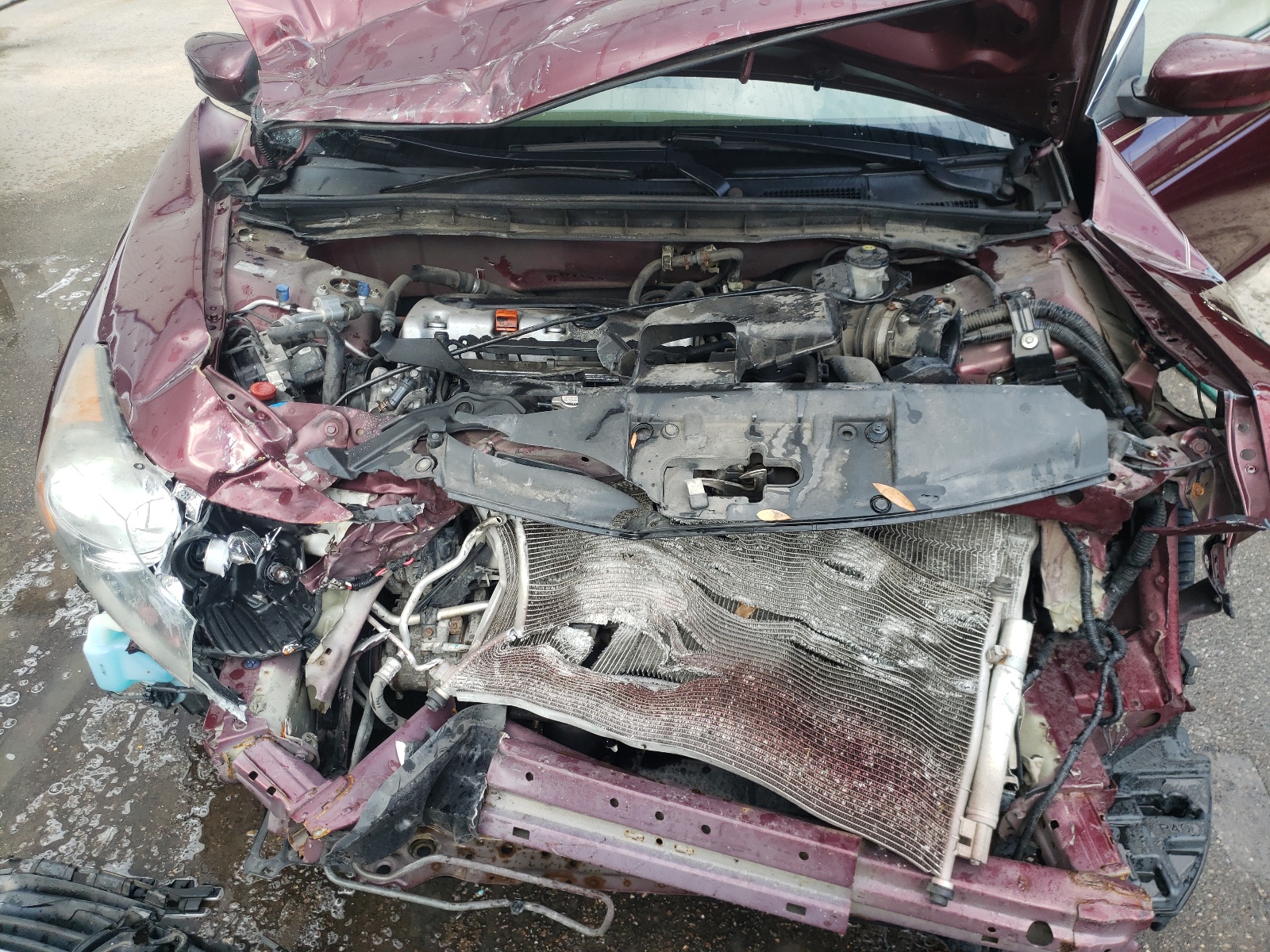 Photo 7 from auction – 2010 HONDA ACCORD LX with VIN 1HGCP2F32AA144880