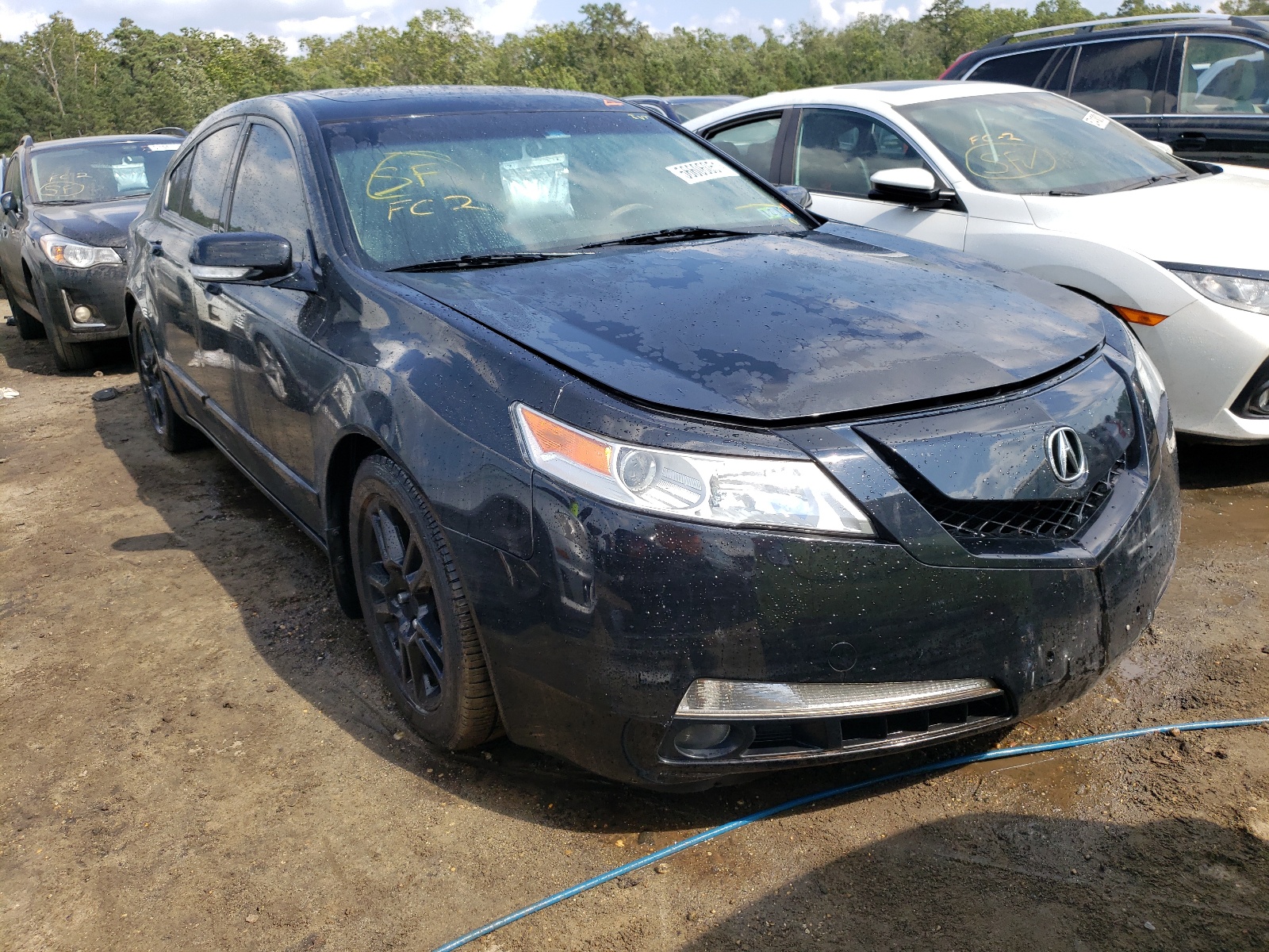 ACURA TL 2010 with VIN 19UUA8F20AA008490 - Photo from auction
