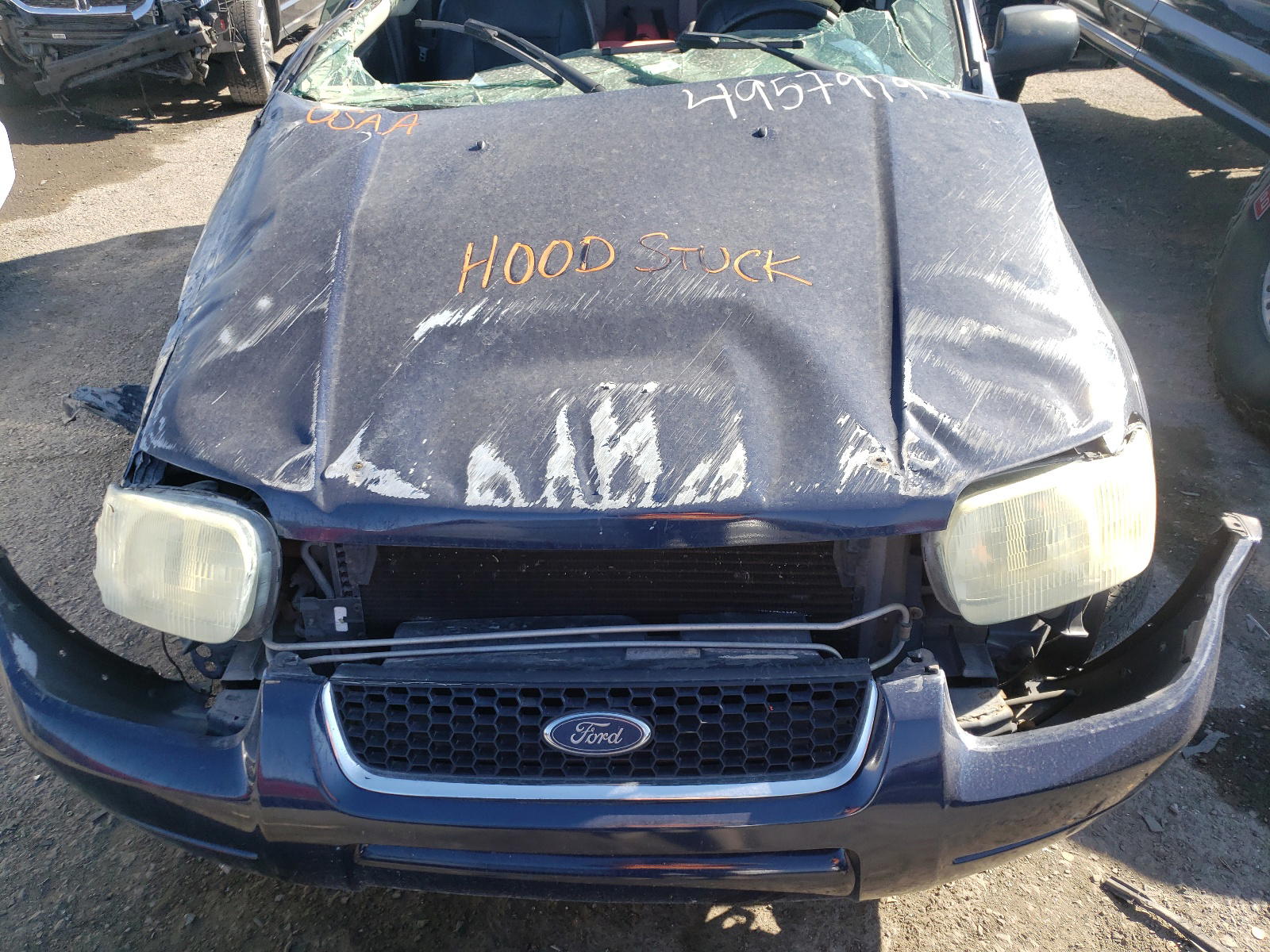 Photo 7 from auction – 2003 FORD ESCAPE LIM with VIN 1FMCU04183KD37928